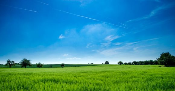 Country - Panoramic Photography of Green Field