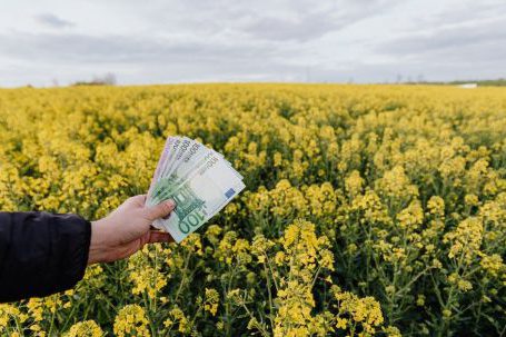 Travel Money - Crop man with paper banknotes on blooming meadow