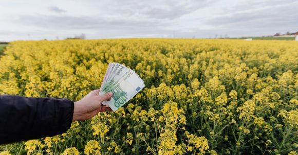 Travel Money - Crop man with paper banknotes on blooming meadow