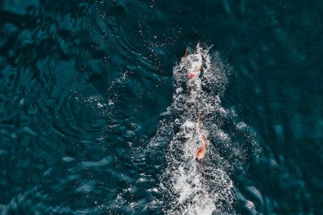 Sporting Event - Drone view of swimmers in sea water swimming during challenge with emergency boat rowing ahead