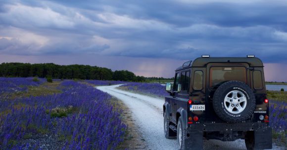 Car Journey - Black Suv in Between Purple Flower Fields