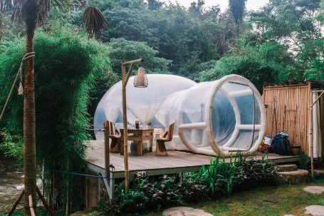 Travel Retreat - Exterior of cute bubble tent in tropical garden
