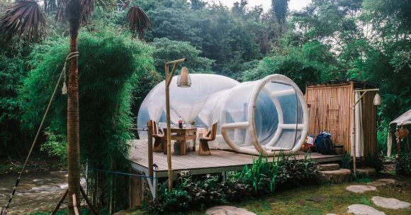 Travel Retreat - Exterior of cute bubble tent in tropical garden
