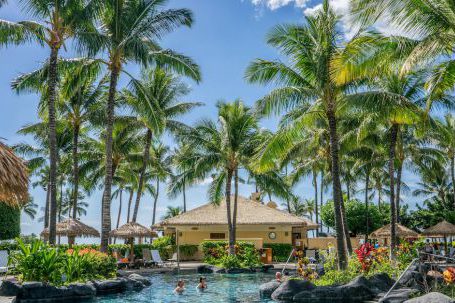 Resort - Coconut Tree Lot