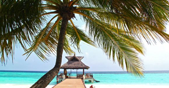 Luxury Travel - Beach Dock With Palm Tree