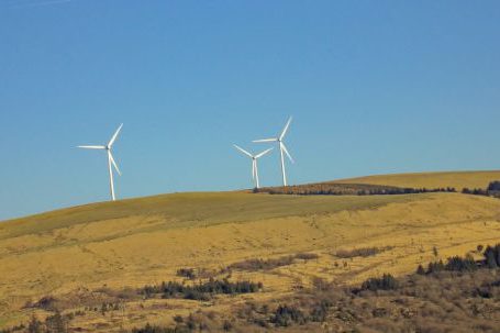 Conservation - Three White Windmills on Green Field Under Blue Sky