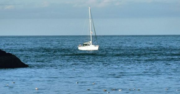 Sailing Travel - Sailboat on the Sea