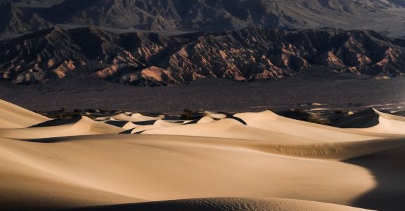 Solo Nature - Photo of a Woman Walking on Desert