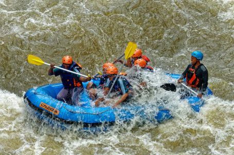 Rafting - Group Of Men Paddling While Inside Inflatable Boat