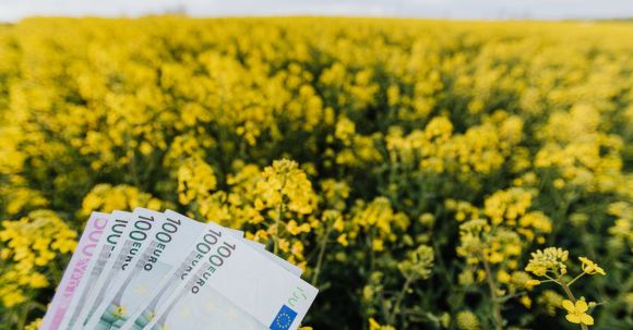 Travel Money - Various Russian paper banknotes located on picturesque view of bright blossom field on cloudy day