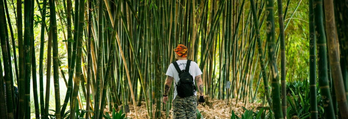 man-in-white-shirt-and-black-pants-standing-on-pathway-between-bamboo-trees