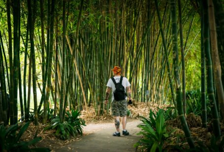 man-in-white-shirt-and-black-pants-standing-on-pathway-between-bamboo-trees