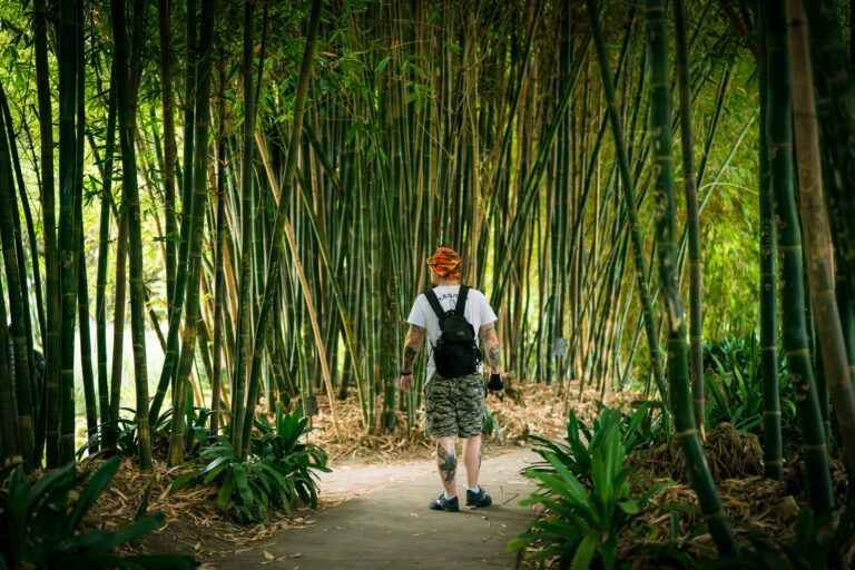 man-in-white-shirt-and-black-pants-standing-on-pathway-between-bamboo-trees