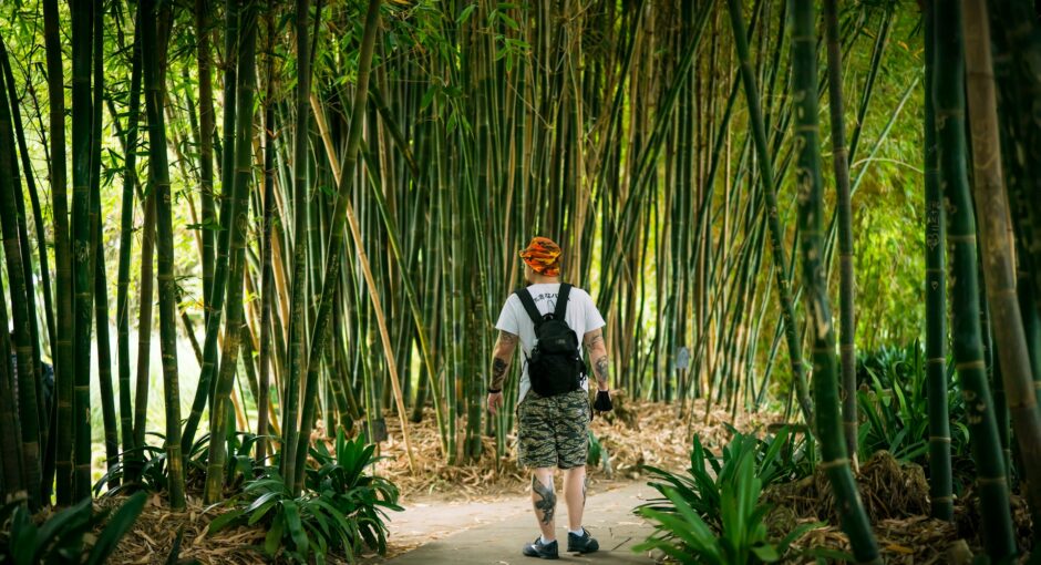 man-in-white-shirt-and-black-pants-standing-on-pathway-between-bamboo-trees